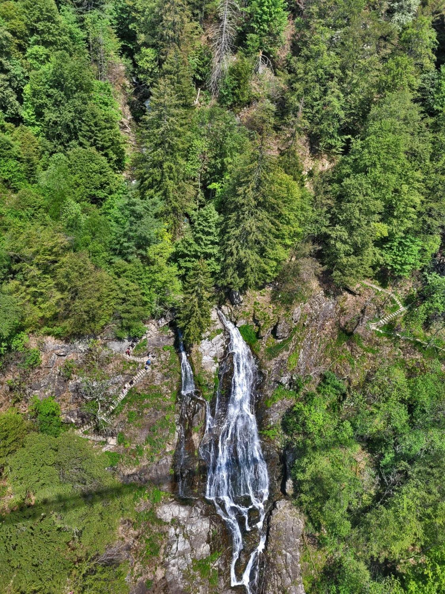 Schwarzwaldhaus Sonnenstrasse, Oberried-Hofsgrund, Dreisamtal Villa Oberried  Buitenkant foto